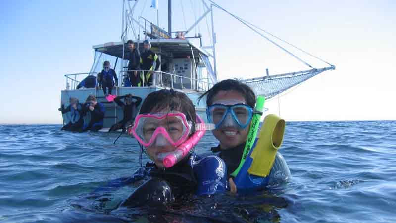 Swim with seals and dolphins in their natural environment on an exciting half day marine adventure!